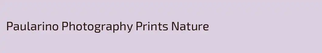 Paularino Photography Prints Nature